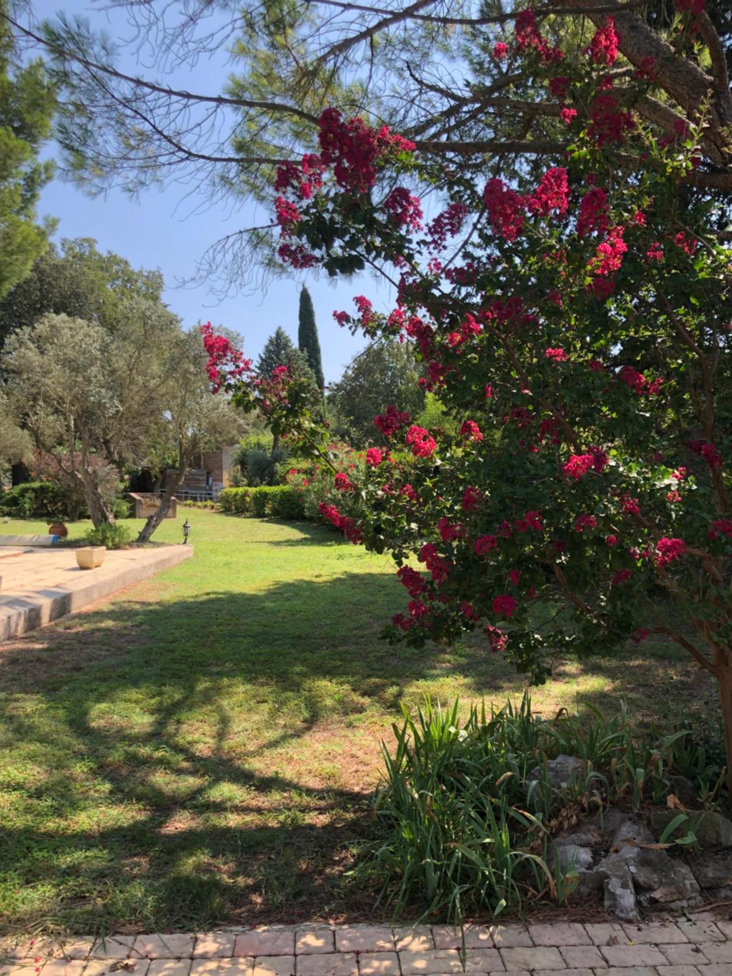 Gite En Provence Dans Grand Jardin Avec Piscine Partagee Cornillon-Confoux Exterior photo